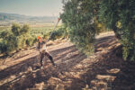 SPA 130 ΧΩΡΙΣ ΜΠΑΤΑΡΙΑ ΚΑΙ ΦΟΡΤΙΣΤΗ | AgroCenter Τσαγκάρης