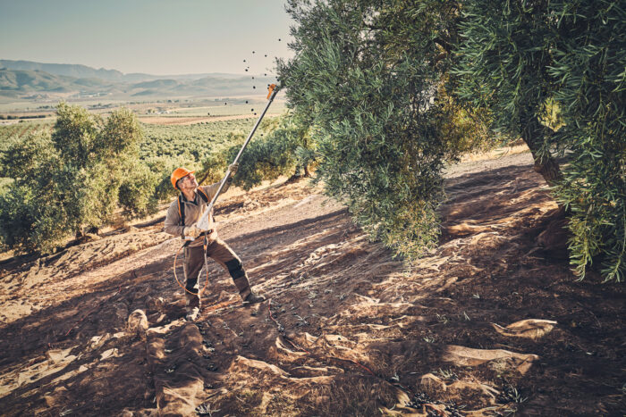 SPA 130 ΧΩΡΙΣ ΜΠΑΤΑΡΙΑ ΚΑΙ ΦΟΡΤΙΣΤΗ | AgroCenter Τσαγκάρης